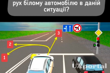 В каком из трех направлений водителю разрешено двигаться: тест на знание ПДД (видео)
