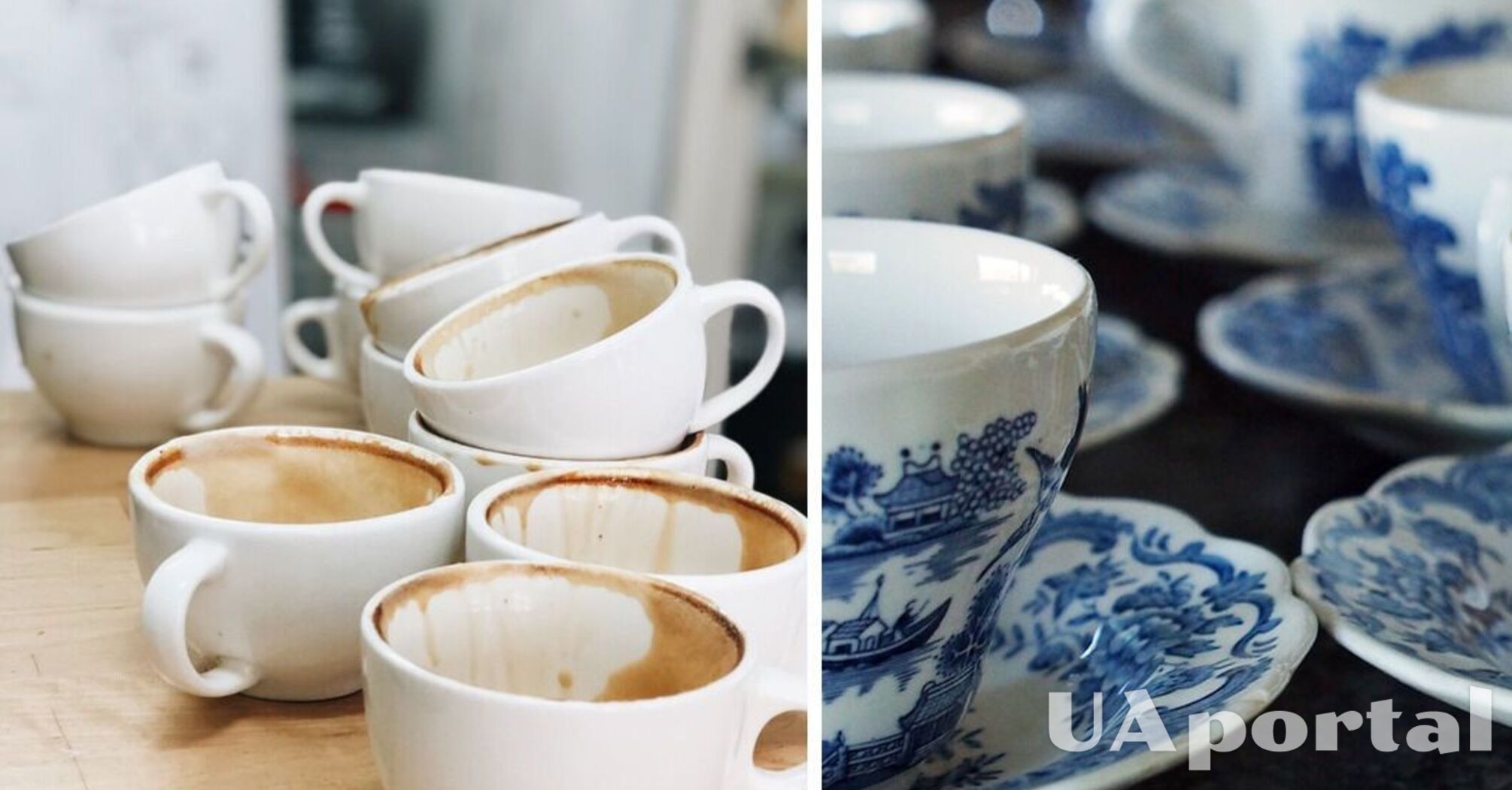 Фахівці підказали, як легко та швидко відмити плями від чаю з чашок