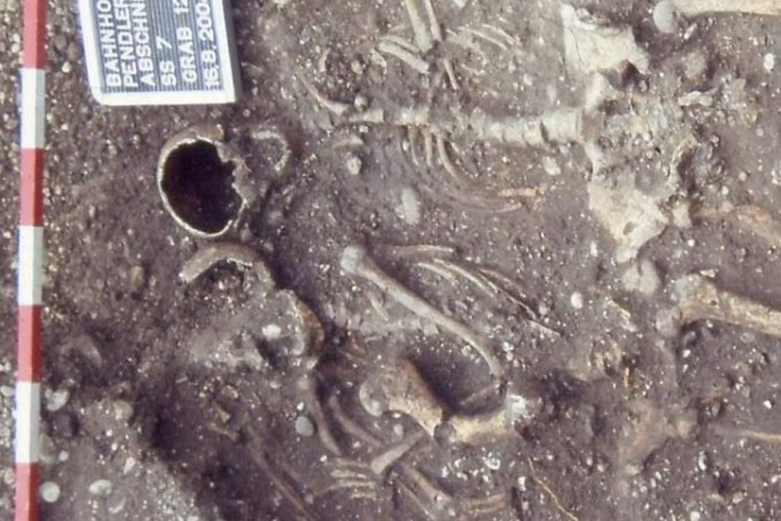 Тіла лежали зверху на коні: археологи в Австрії знайшли дивне стародавнє поховання (фото)