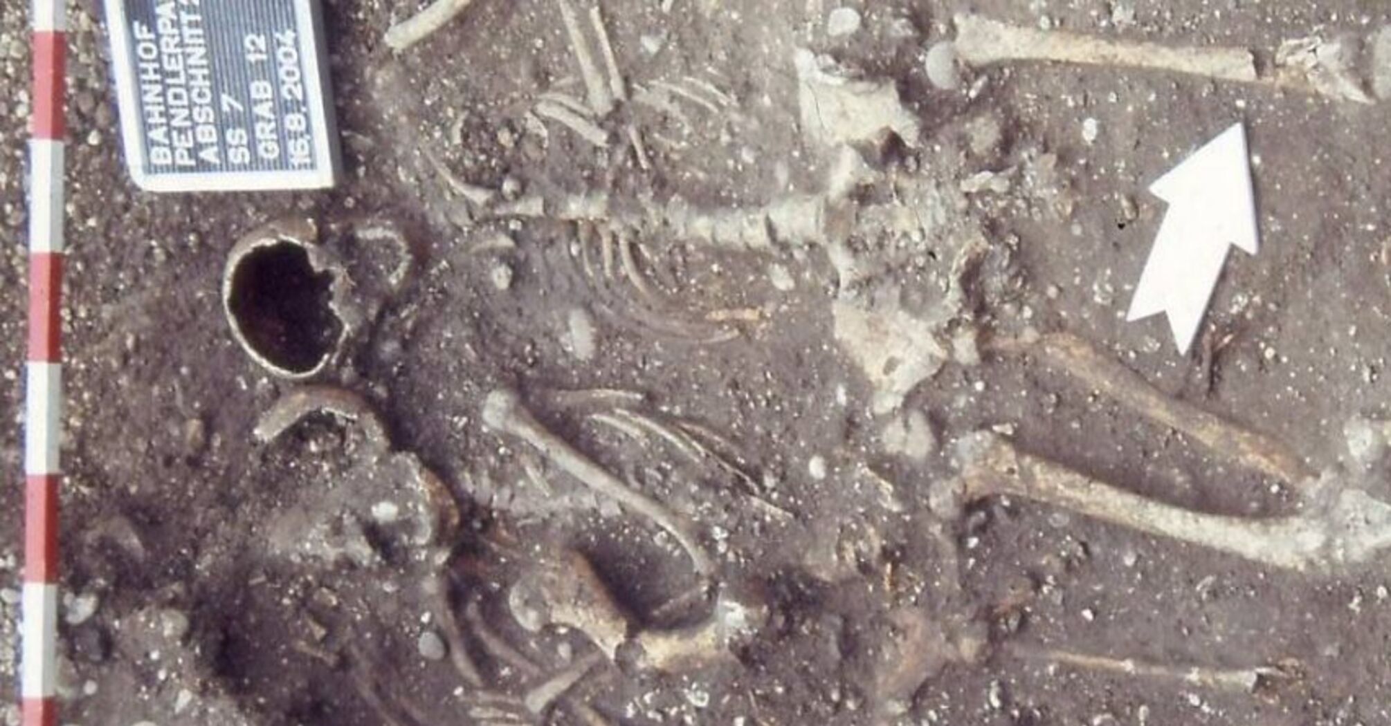Тіла лежали зверху на коні: археологи в Австрії знайшли дивне стародавнє поховання (фото)