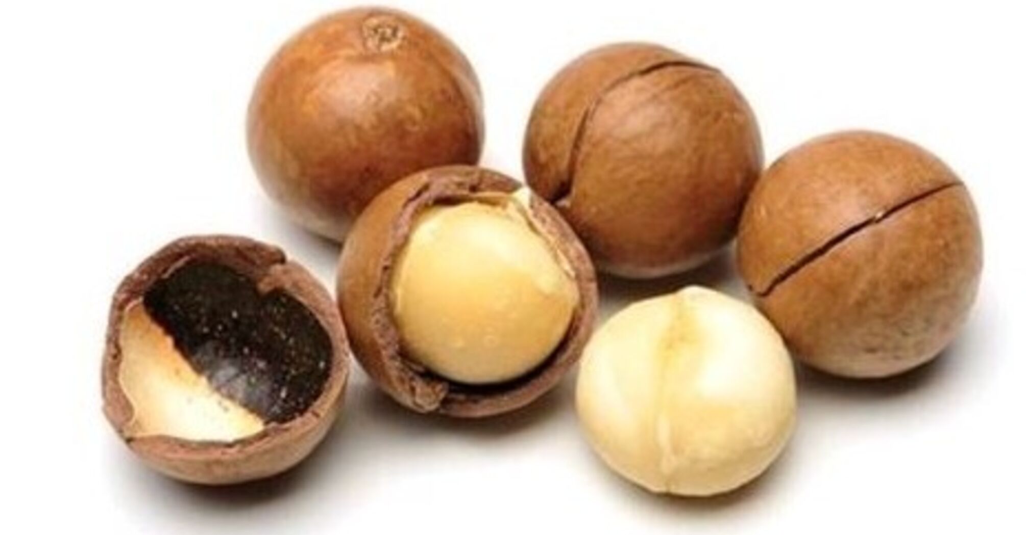 Макадамія: в чому неймовірна користь горіха