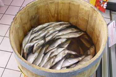 How to quickly fillet herring: a method used by Norwegian housewives