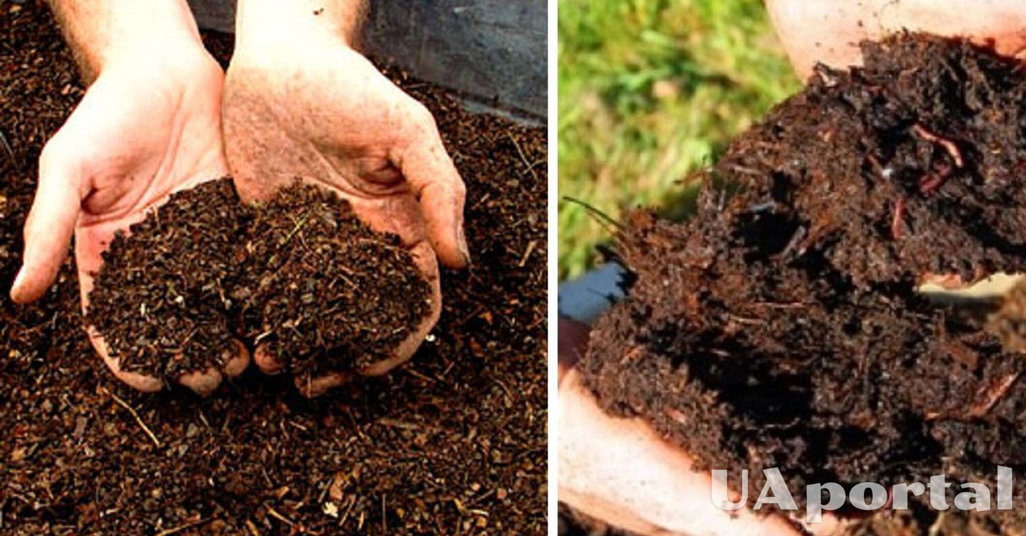 Как ускорить компостирование на огороде: огородники поделились поразительным лайфхаком