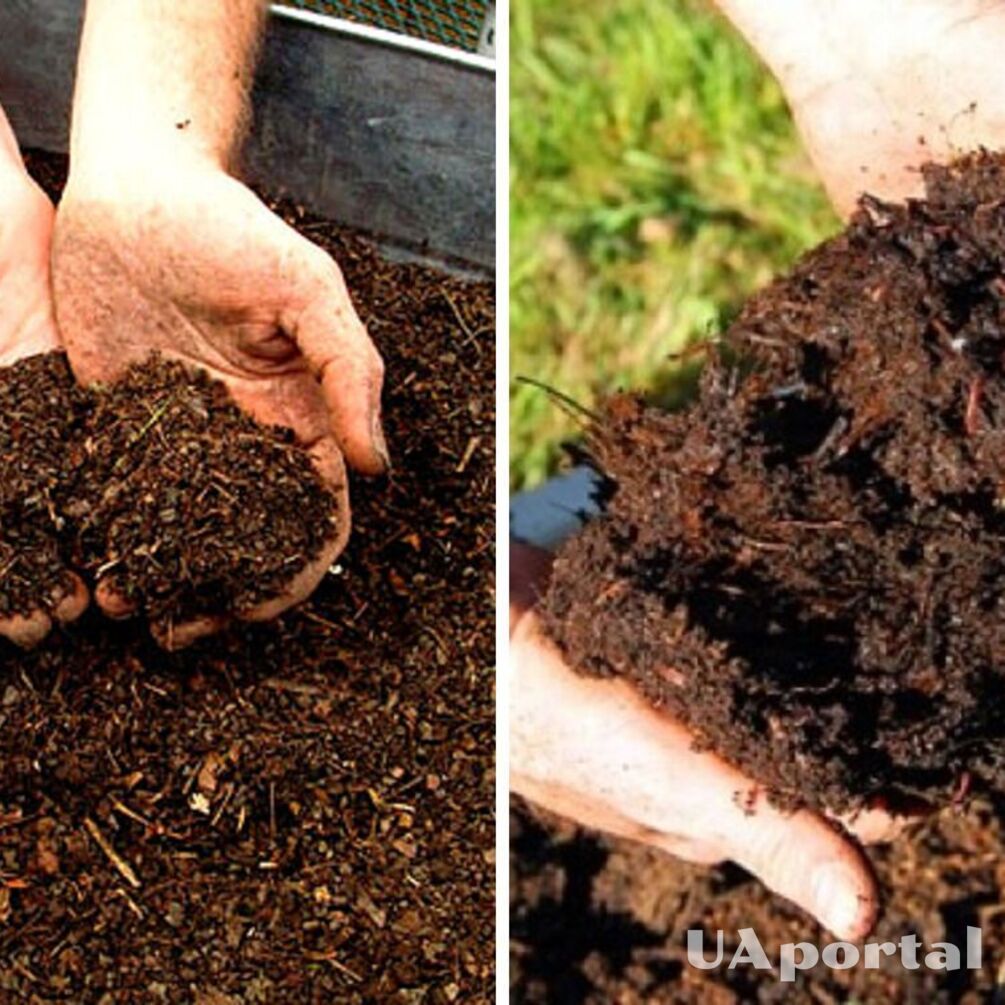 Как ускорить компостирование на огороде: огородники поделились поразительным лайфхаком