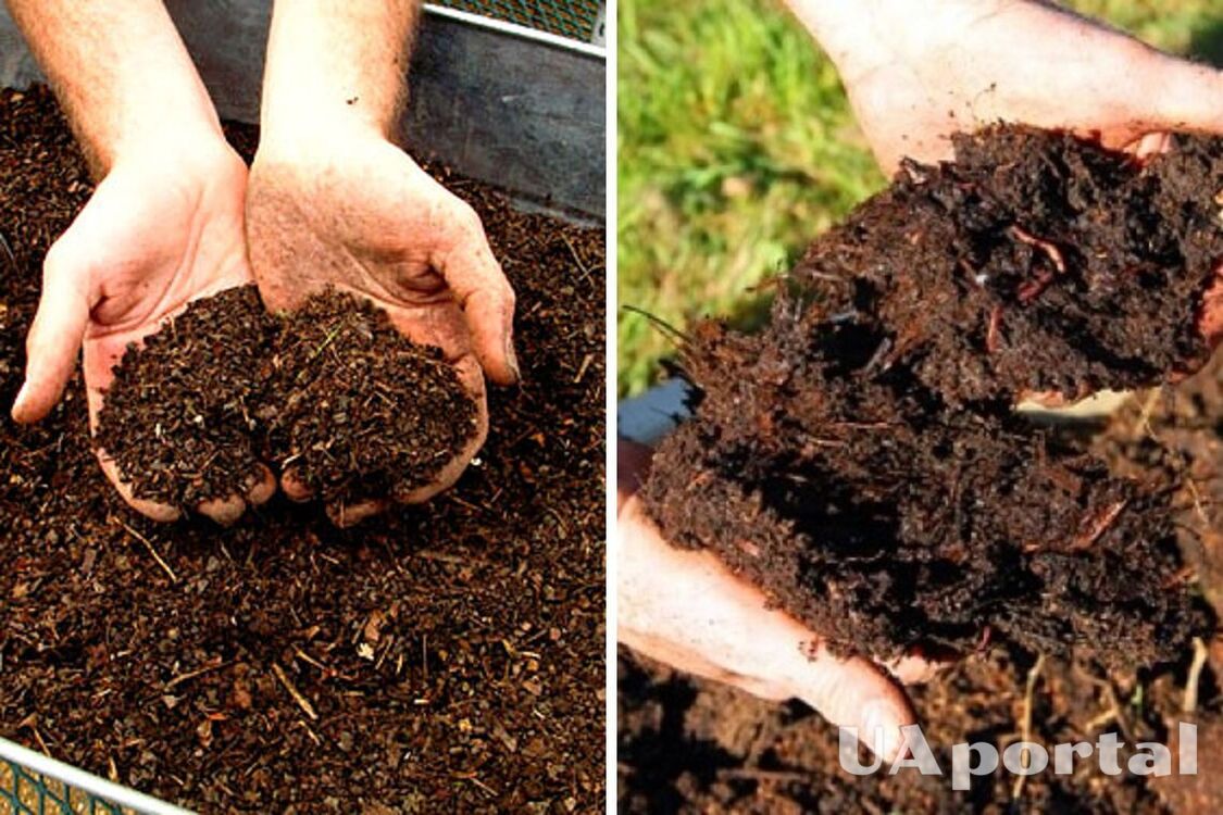Як пришвидшити компостування на городі: городники поділились вражаючим лайфхаком 