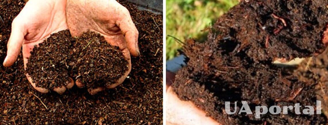 Як пришвидшити компостування на городі: городники поділились вражаючим лайфхаком 
