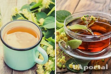 Normalizes sleep and reduces anxiety: why you should drink linden tea regularly