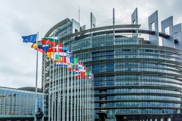 Выборы в Европарламент: российские деньги погоды не делают