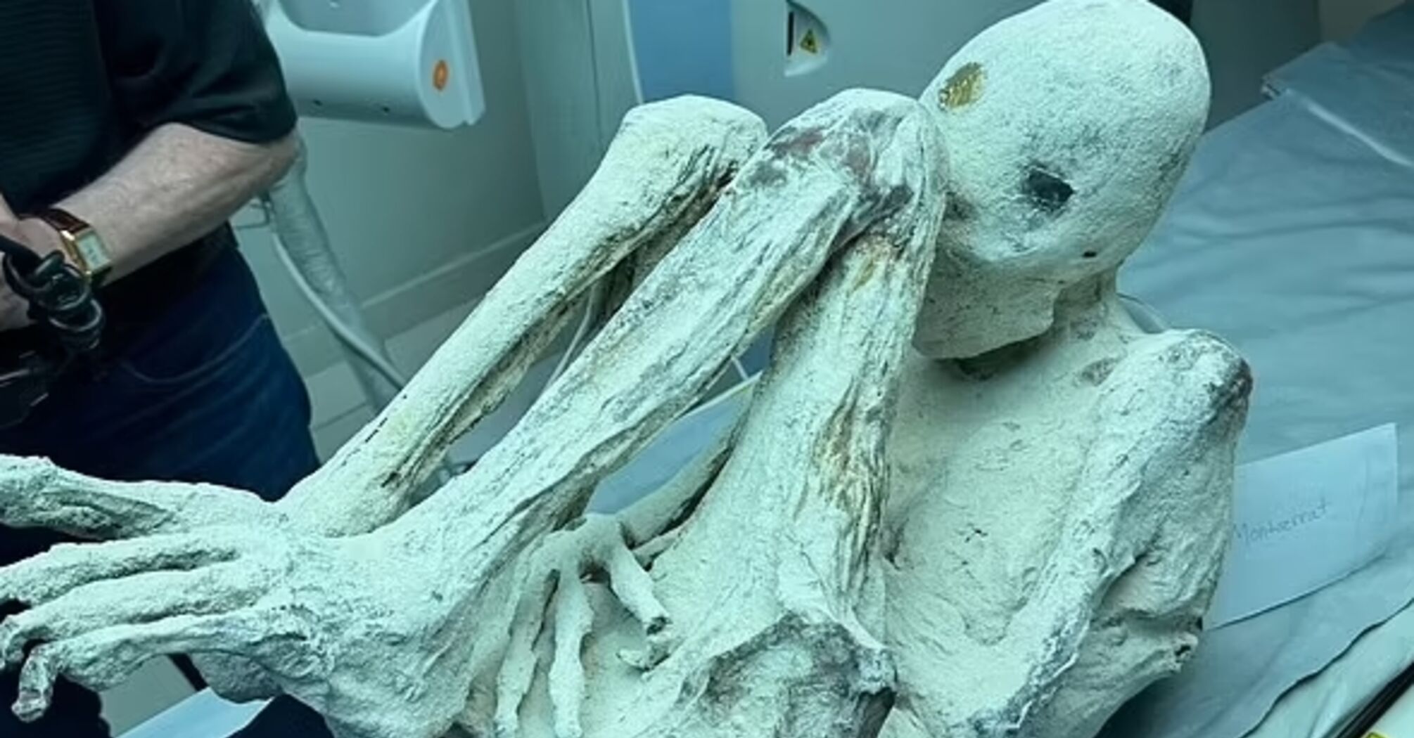 Дослідник знайшов тіла неземних істот і вимагає відправити їх на аналіз (фото)