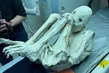 Дослідник знайшов тіла неземних істот і вимагає відправити їх на аналіз (фото)