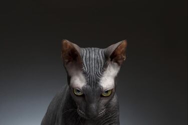 Как обиды портят жизнь