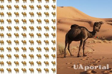 Лише уважні зможуть знайти на картинці верблюда з двома горбами за 12 секунд