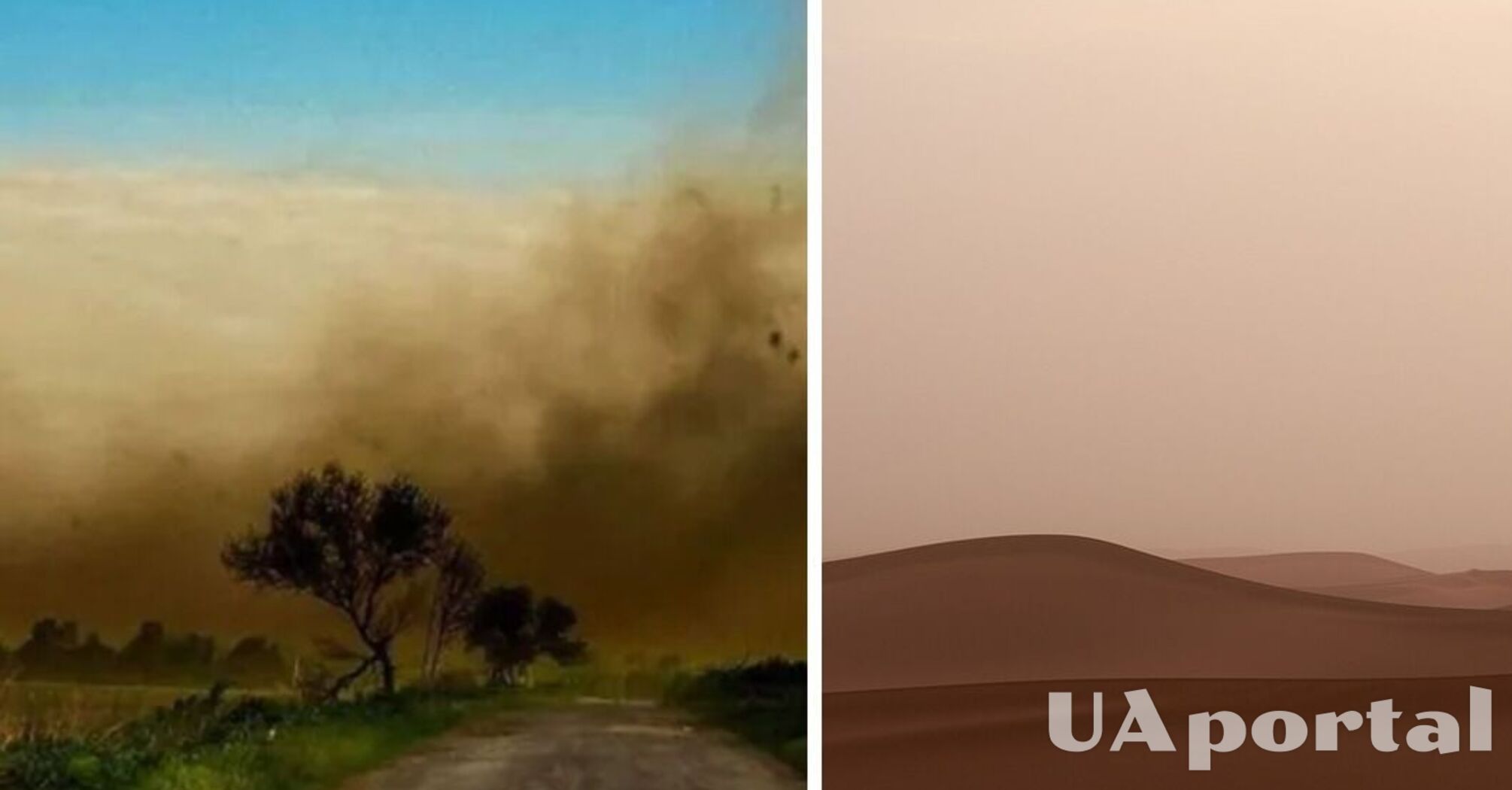 Синоптики объяснили, накроет ли снова Украину пыль из Сахары