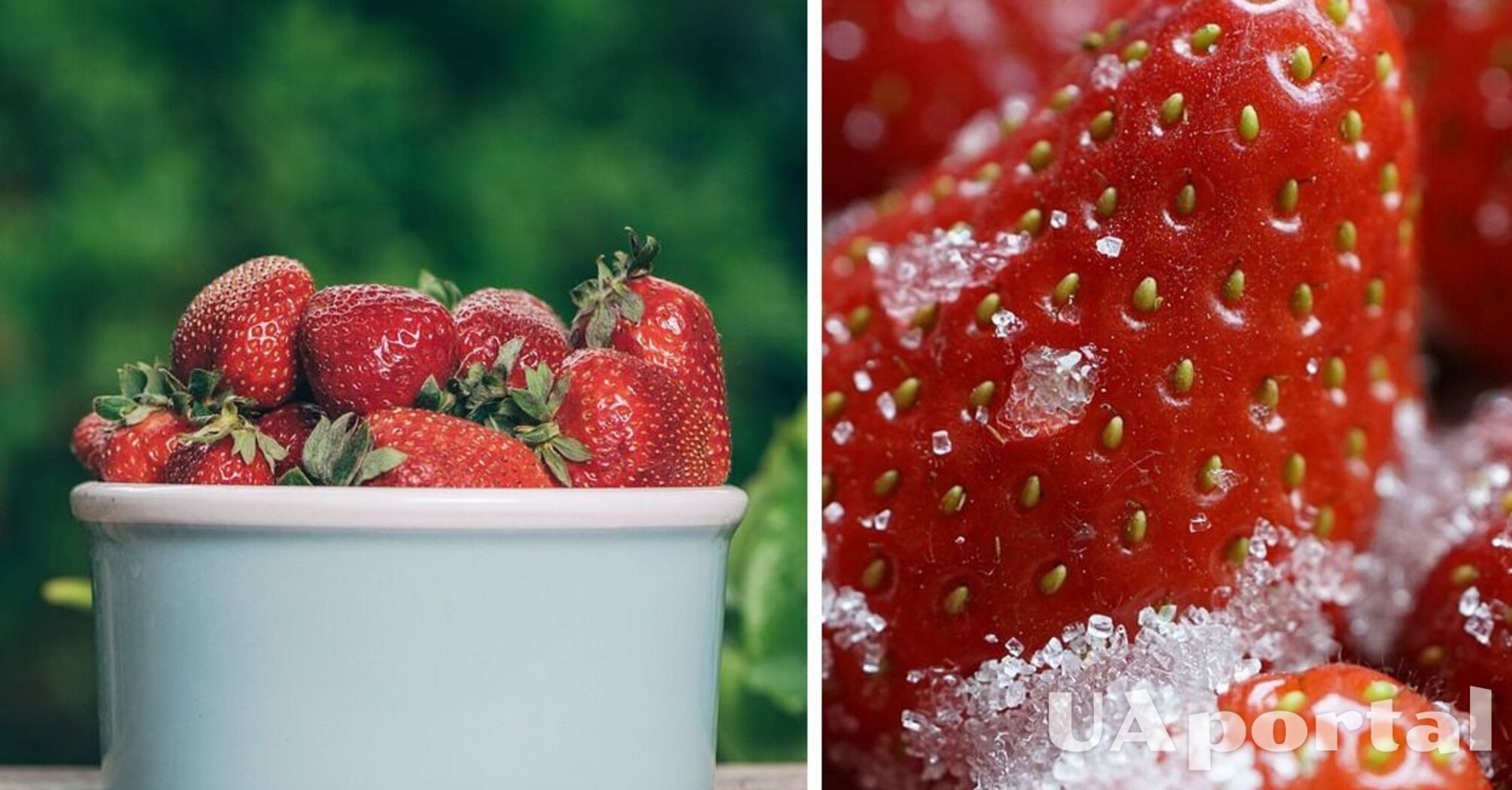 Элементарный рецепт консервированной клубники: целые ягоды будут иметь невероятный запах