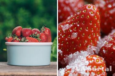 Элементарный рецепт консервированной клубники: целые ягоды будут иметь невероятный запах