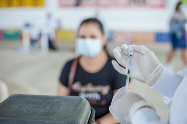 Этот популярный овощ считают виновным во вспышке сальмонеллы в 25 штатах США: подробности