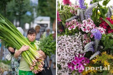 Что делать с травами, освященными на Троицу: только не выбрасывайте