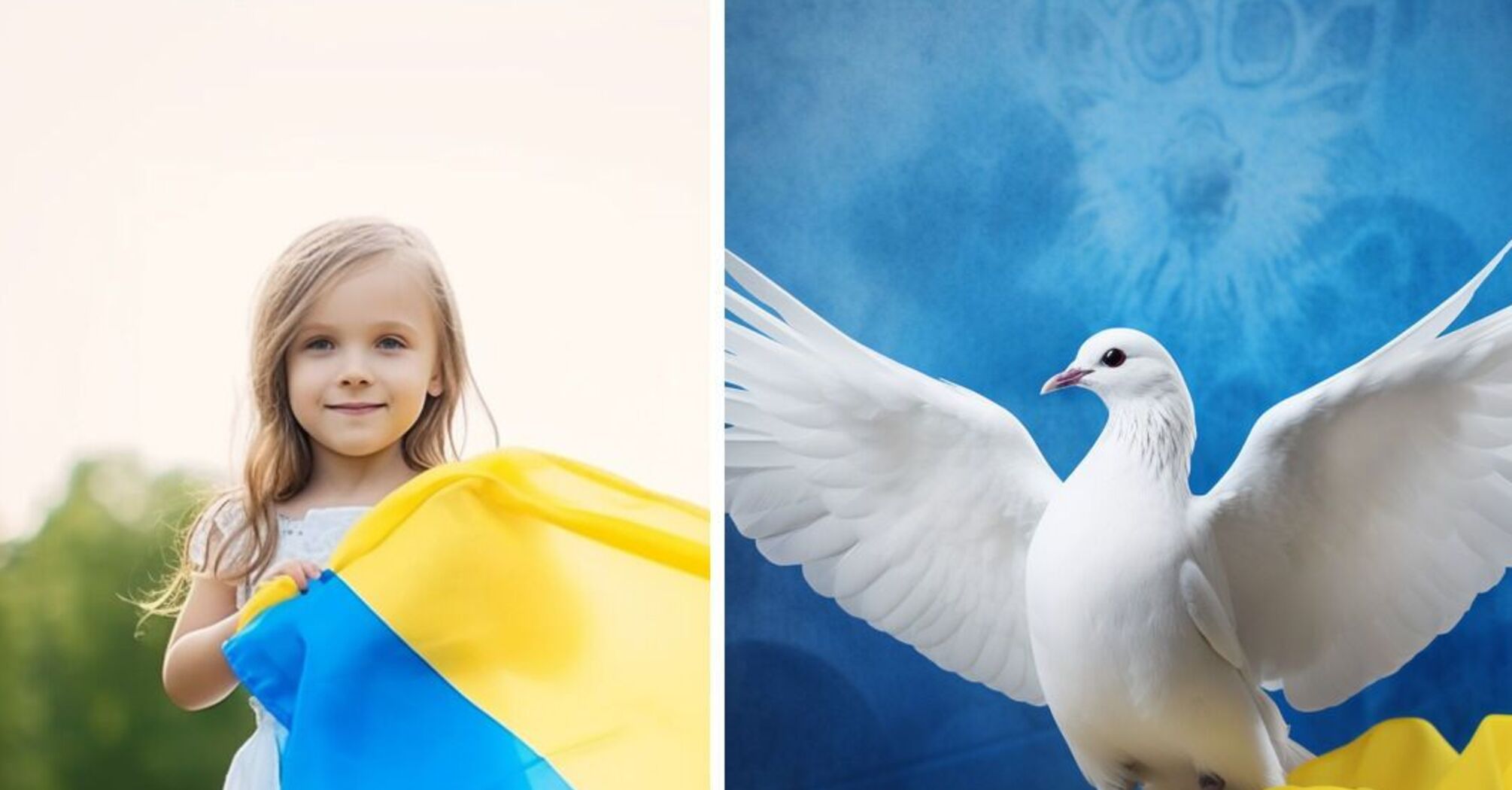 День Конституции Украины 2024: лучшие поздравления на украинском и открытки к празднику