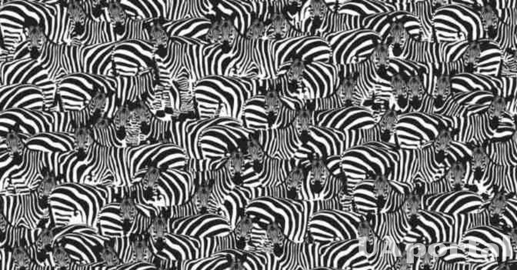 Лишь 1% людей способен найти на картинке пианино среди зебр: оптическая иллюзия для внимательных
