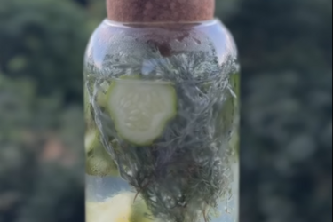 Освежающий тоник с полынью – альтернатива лимонада