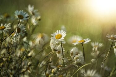 Краще нічого не плануйте: 4 невдалі дні у липні, до яких варто поставитися з обережністю