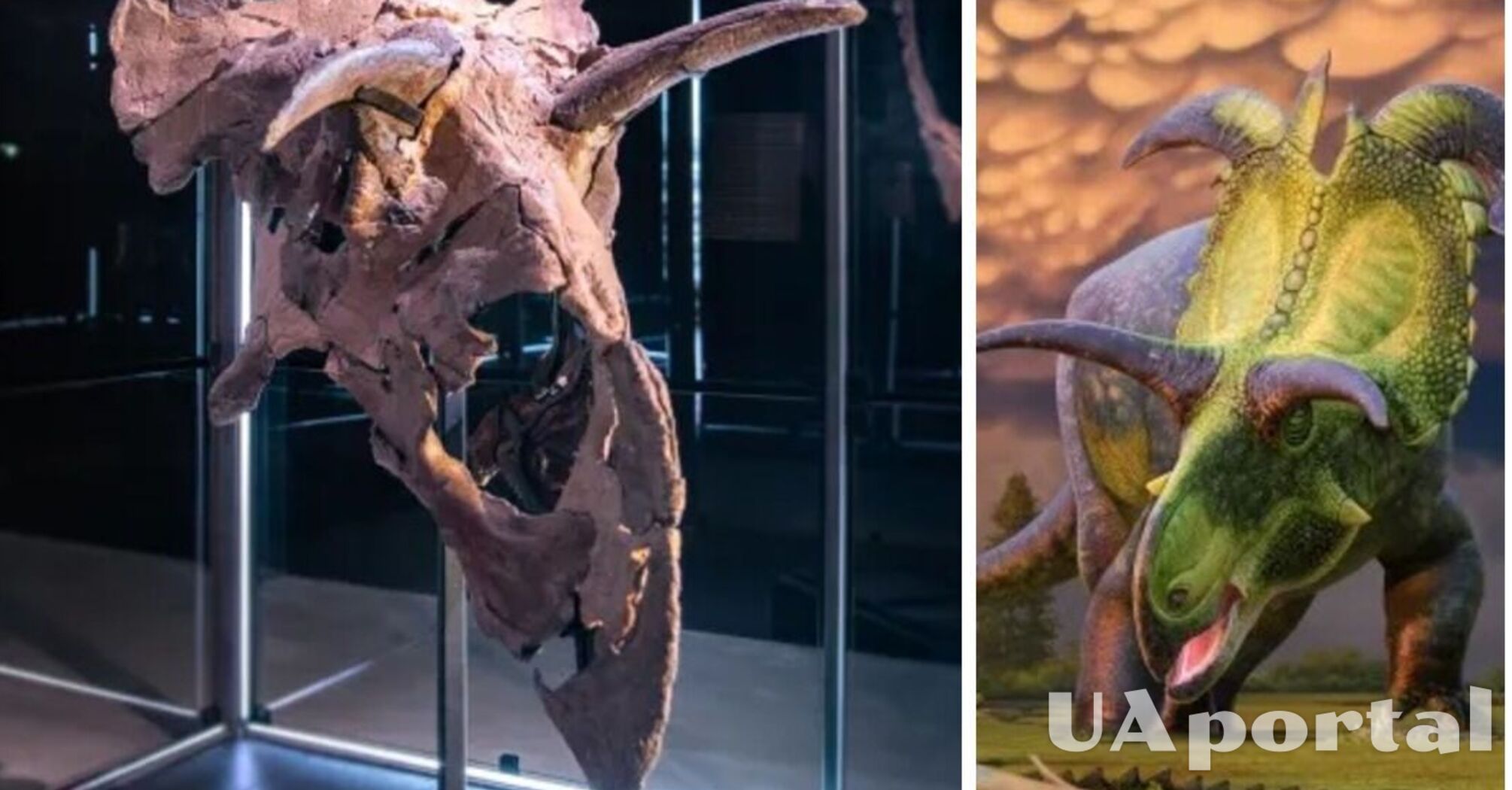 Имел 200 зубов и весил 5 тонн: найден новый вид гигантского динозавра Lokiceratops rangiformis (фото)