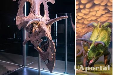 Мав 200 зубів та важив 5 тонн: знайдено новий вид гігантського динозавра Lokiceratops rangiformis (фото)