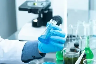 Человечество на пороге вечной жизни: ученые считают, что преодолеть старение удастся уже в 2030-х годах