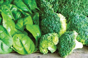 Витамин К: для чего нужен и где содержится