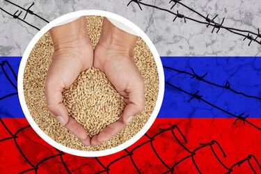 Санкционные утраты России. Цены на перевозку зерна стремительно растут