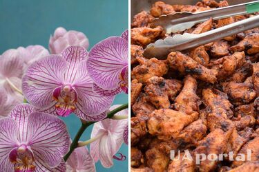 Орхидеи дадут потрясающие цветы, если подкормить их этим удобрением