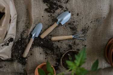 Бур'яни зникнуть та не повернуться: експерт сказав, що треба зробити у червні