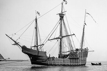 Морське чудовисько: вчені розкрили істоту, яка потопила корабель Колумба