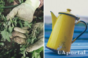 Эксперты назвали лучший способ избавиться от сорняков без уксуса или копания