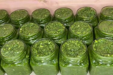 Зеленая аджика в считанные минуты: варить не надо