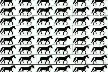 Коварный тест на IQ: найдите 4 треногих коня на картинке за 9 секунд