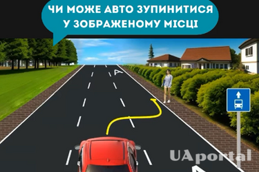 Чи можна водію зупинитися у такому місці на дорозі: задача на знання ПДР (відео)