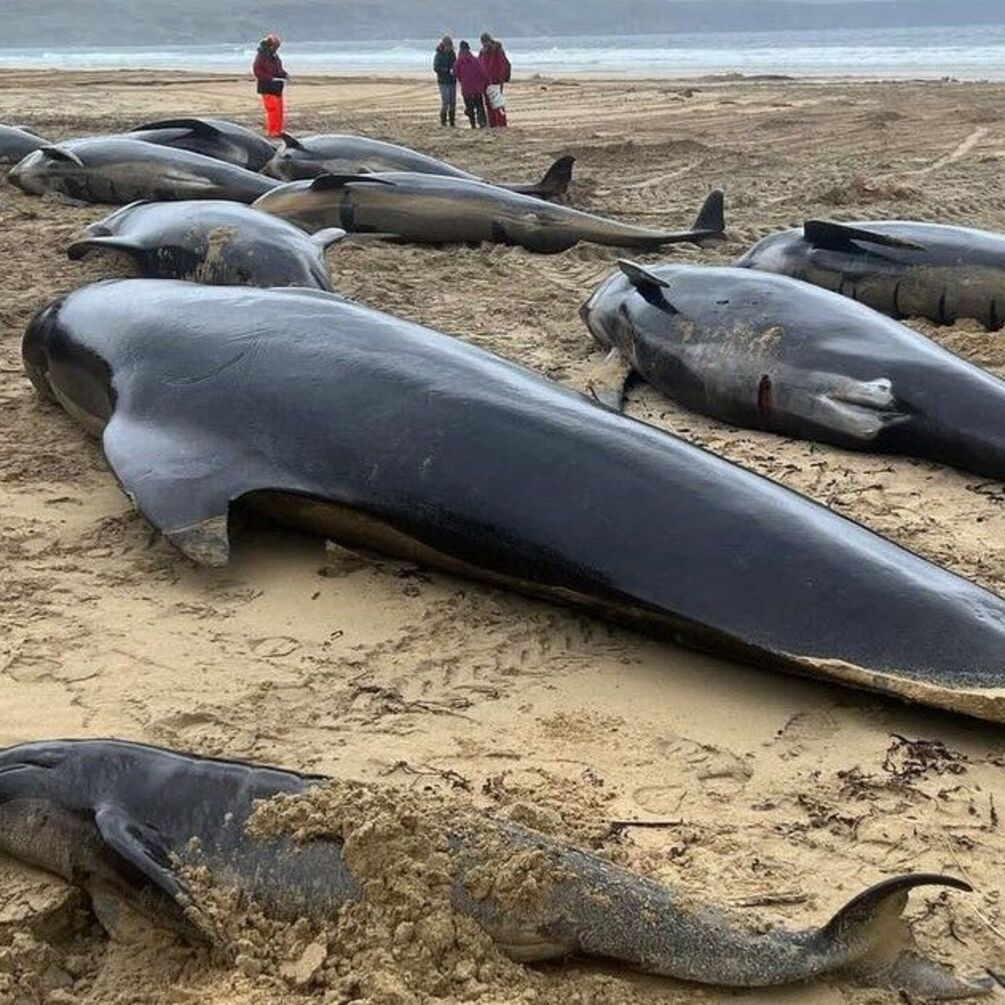 Як можна продовжувати масово вчити менеджменту та маркетингу, коли весь світ вивернувся навиворіт?