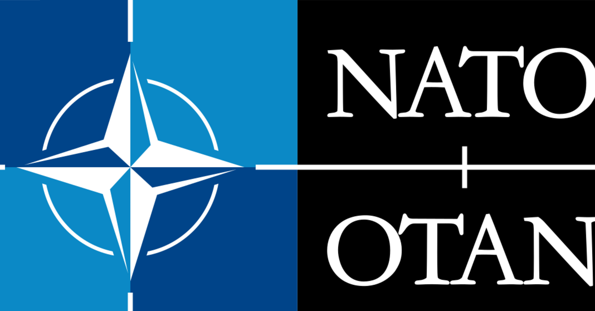 Украина и НАТО: что будет дальше после саммита в Вашингтоне?