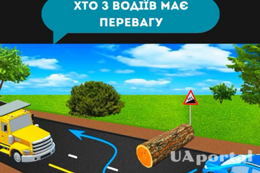 Хто з водіїв має перевагу руху у ситуації з такою перешкодою: задача на знання ПДР (відео)
