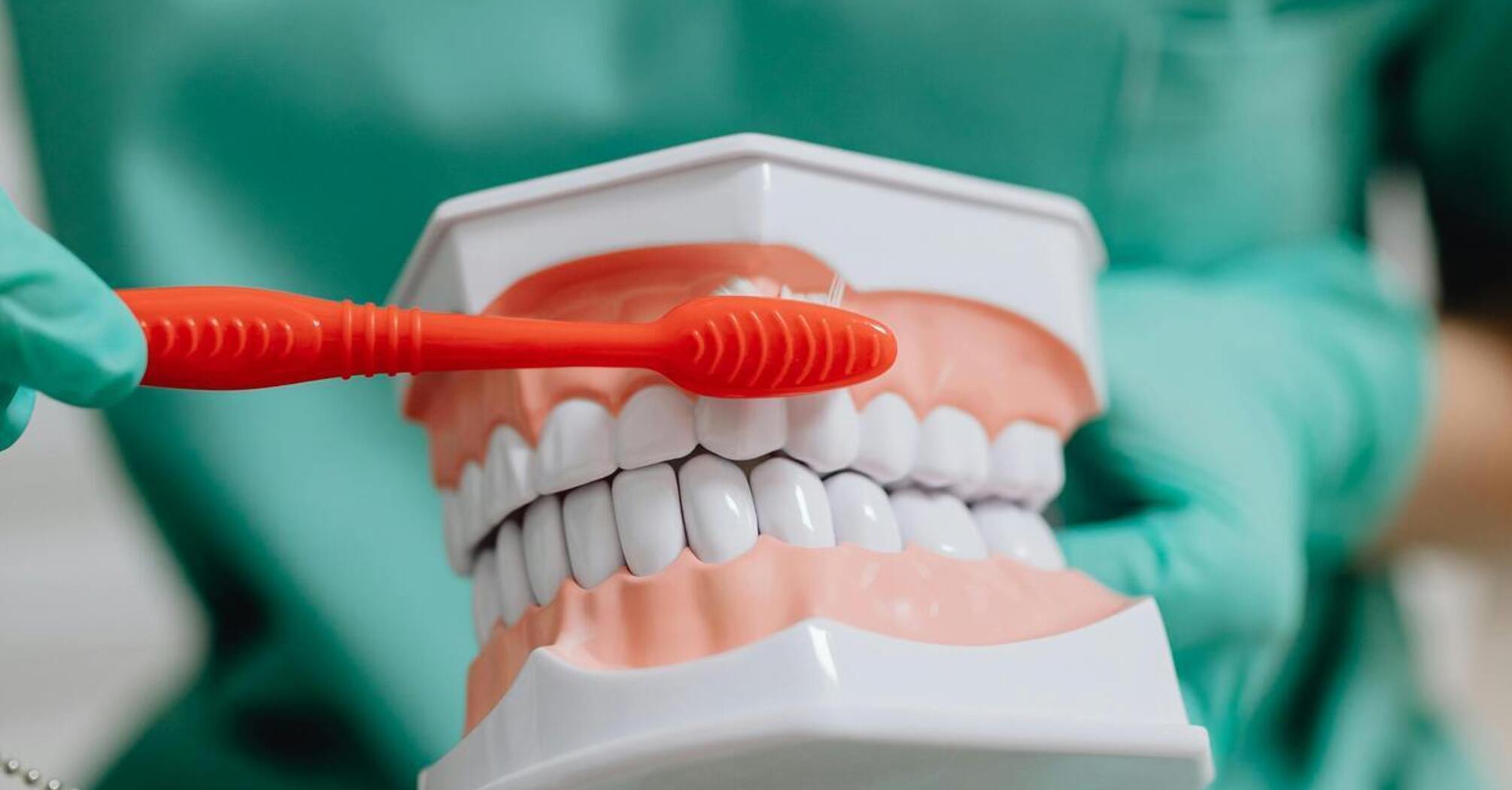 Когда и сколько раз нужно чистить зубы, чтобы реже посещать стоматолога