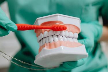 Когда и сколько раз нужно чистить зубы, чтобы реже посещать стоматолога