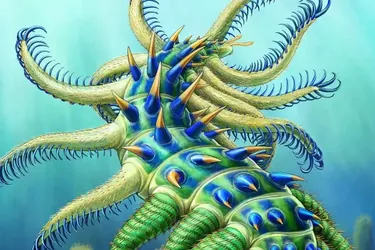 Таємничий 'морський прибулець': вчені виявили незвичайні рештки істоти, якій понад 500 млн років