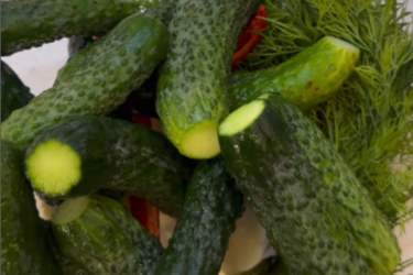 Малосольні огірки за одну ніч: простий рецепт