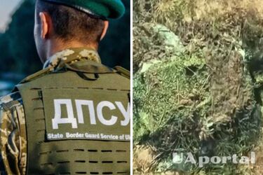 На Запорізькому напрямку прикордонники потужно знищили гармату МТ-12 'Рапіра' окупантів (відео)