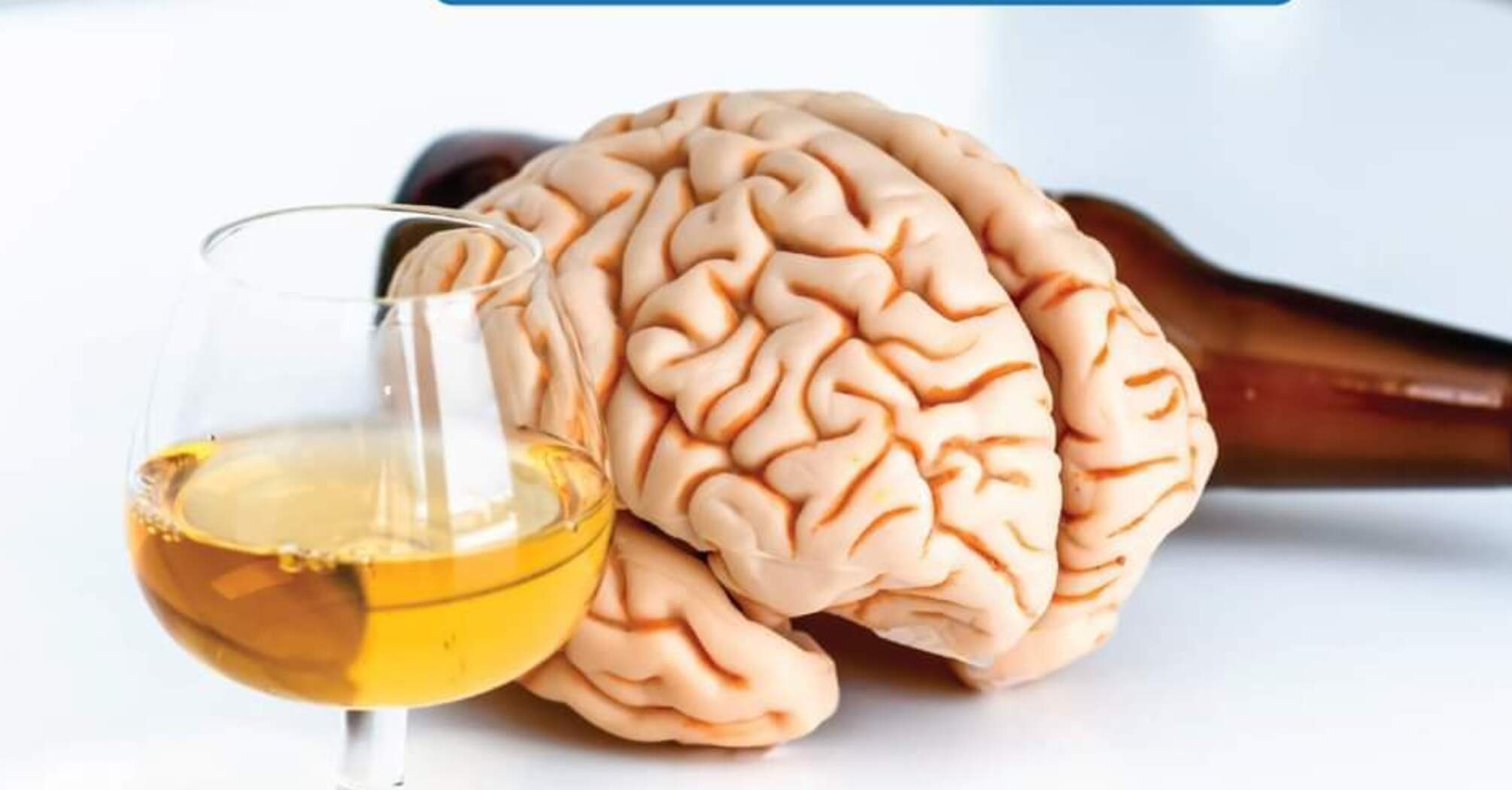 Как алкоголь влияет на мозг: интересные исследования