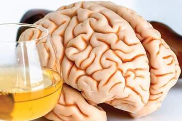 Как алкоголь влияет на мозг: интересные исследования