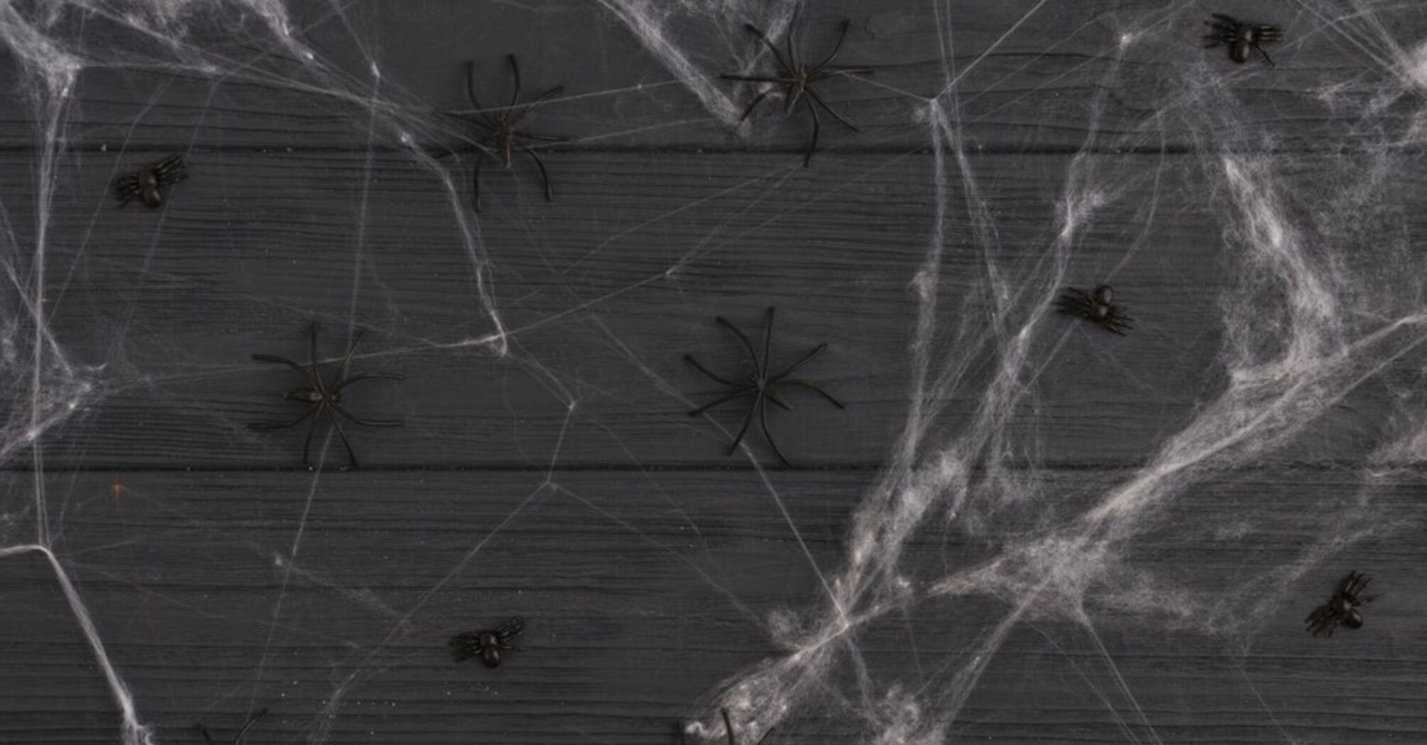Как избавиться от пауков в доме, не используя химии: действенные методы