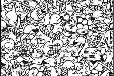 Лише 1% людей може помітити устрицю за 12 секунд: тест на IQ з оптичною ілюзією