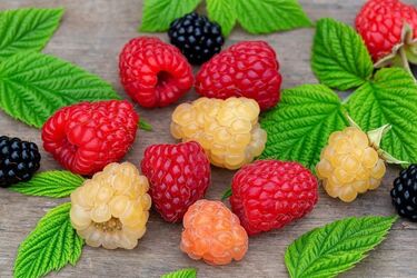 Малина для красоты и молодости кожи: как использовать